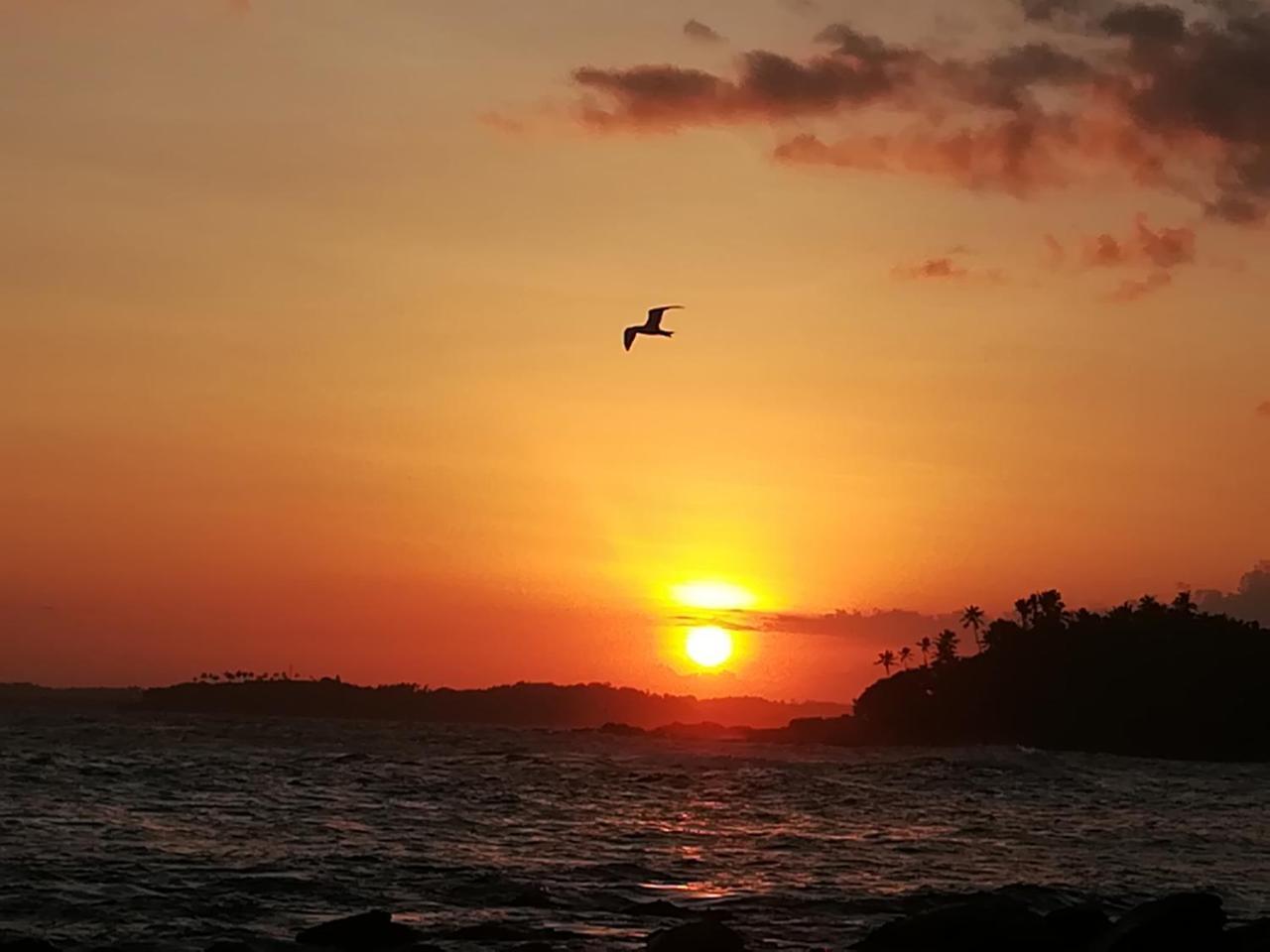 Star Beach Hotel Tangalle Buitenkant foto